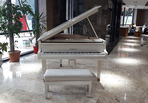 Pendik Kuyruklu Piyano Taşıma
